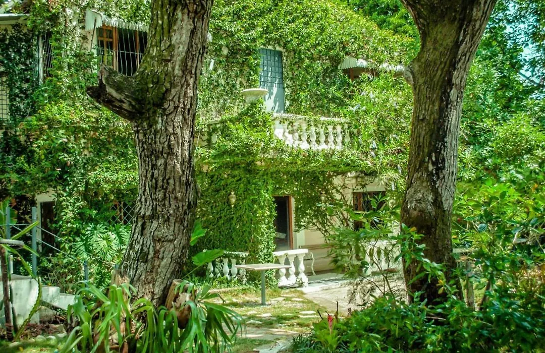 Villa Carolina Bed And Breakfast-1