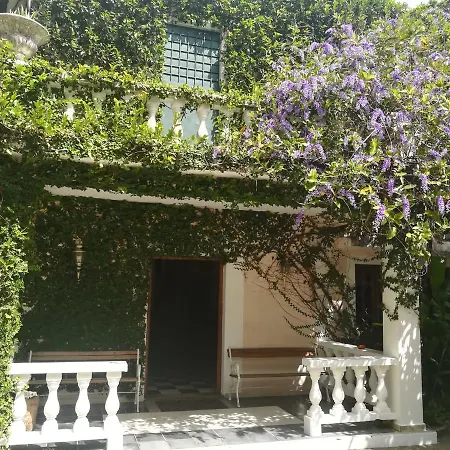 Villa Carolina Bed And Breakfast-3